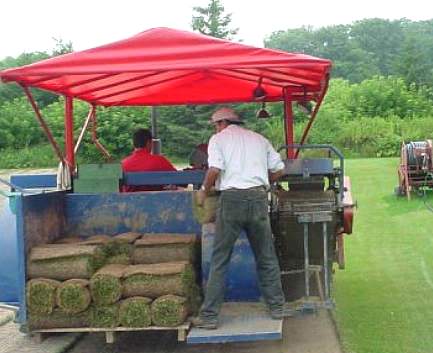 Northern Sod Farms 246