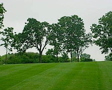 Northern Sod Farms 263