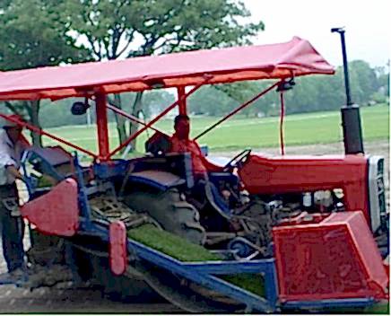 Northern Sod Farms 255
