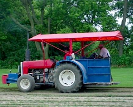Northern Sod Farms 240