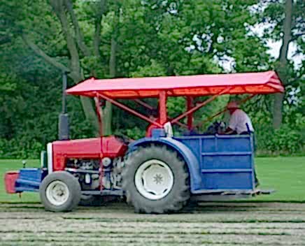 Northern Sod Farms 256