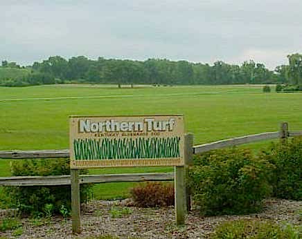 Northern Sod Farms 259