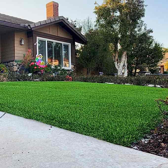 Northern Sod Farms 222